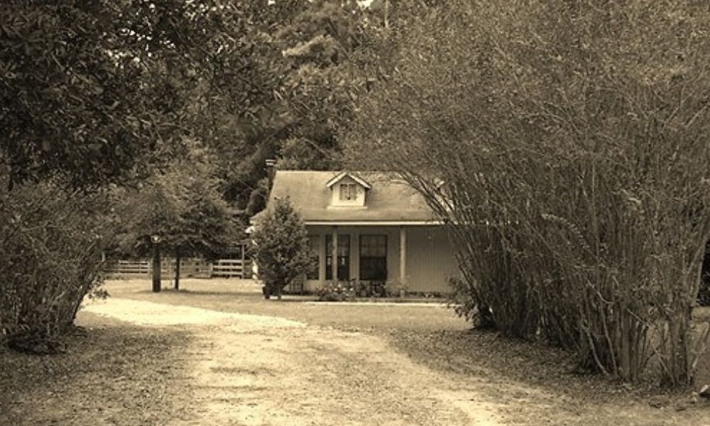 farmhouse house sitting down a long drive way