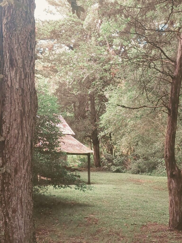 old barn tucked into the woodline