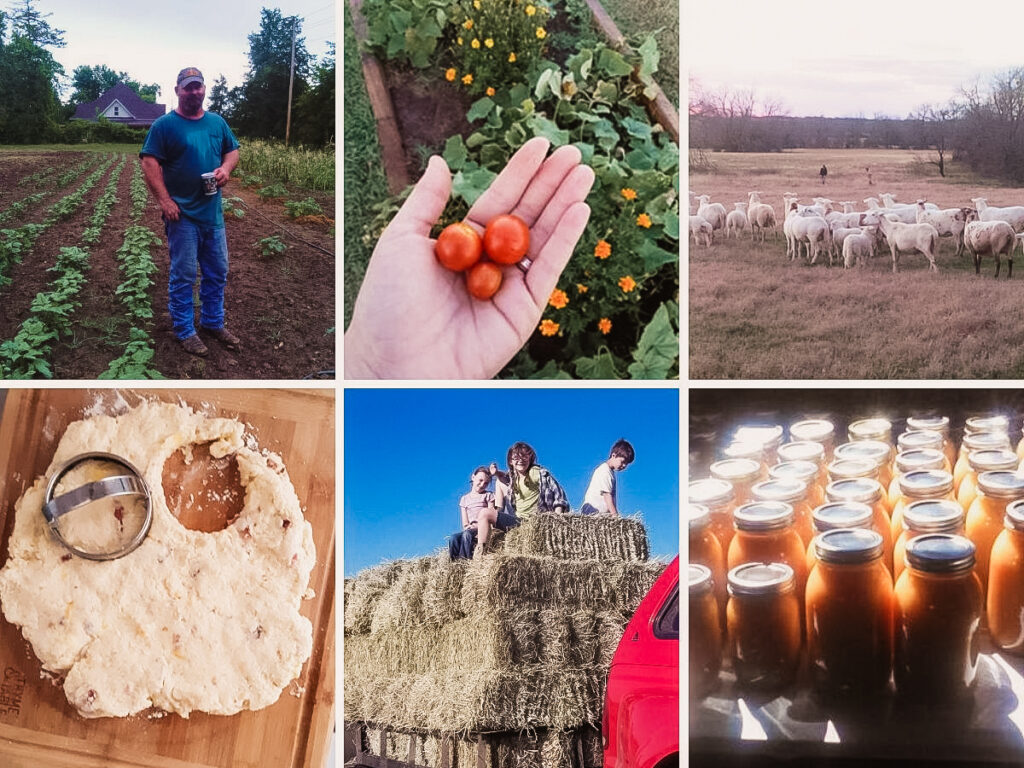 a collection of photos demonstrating a country homestead life. Garden, sheep, baking, canning