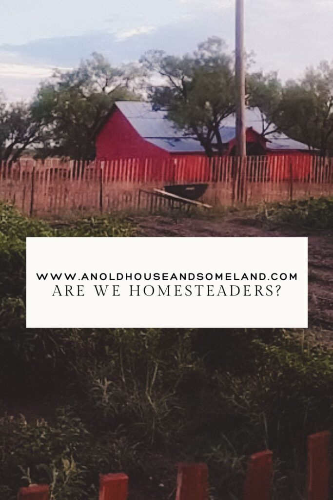 I was hoping to find something new and exciting, but what I found was, these homesteaders lived similar lives to ours... are we homesteaders?