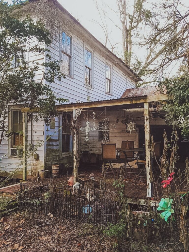 First steps in renovation, necessary demo and a new roof