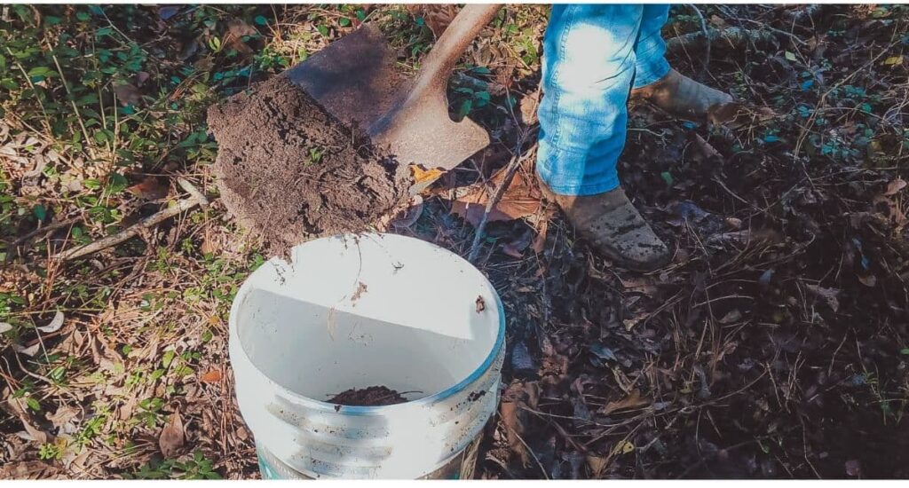 How To Easily Propagate Fig Trees