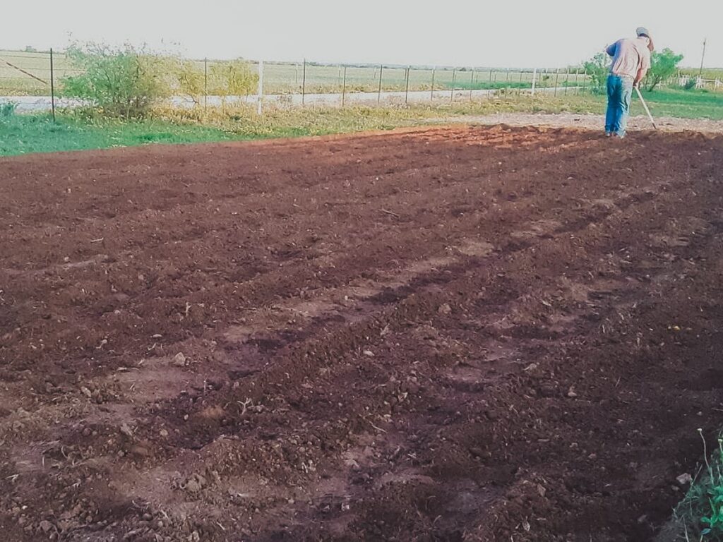 Preparing the ground for a garden.