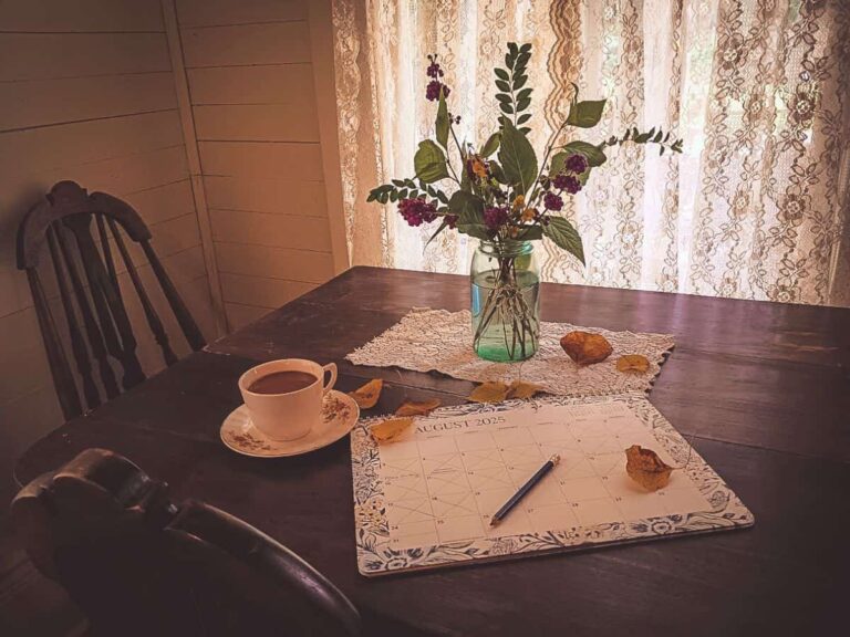 From Summer to Fall. Preparing for a new season.