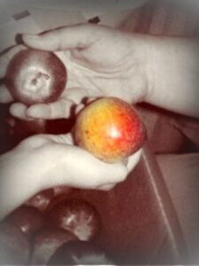 Apple processing at home