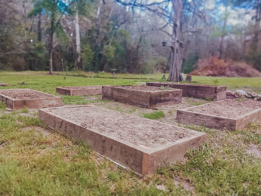 planning a kitchen garden using rustic wooden raised beds.