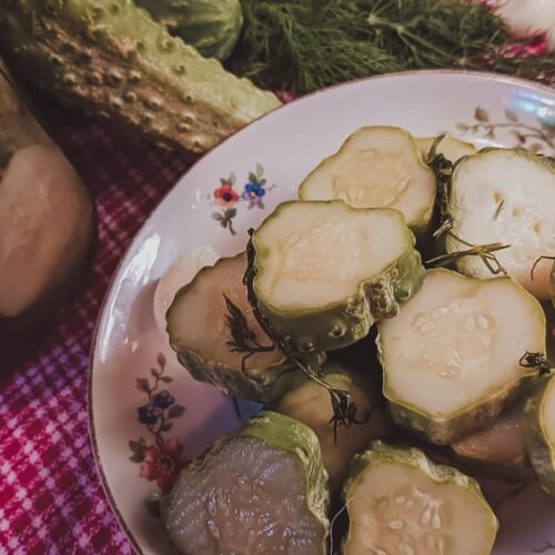 The Best Icebox Pickles Recipe - Small-batch!